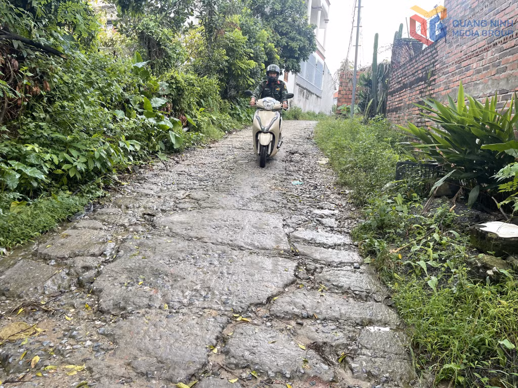 Nhiều đoạn trên tuyến đường khu Đông Sơn bị hư hỏng, nứt gãy, bong tróc.
