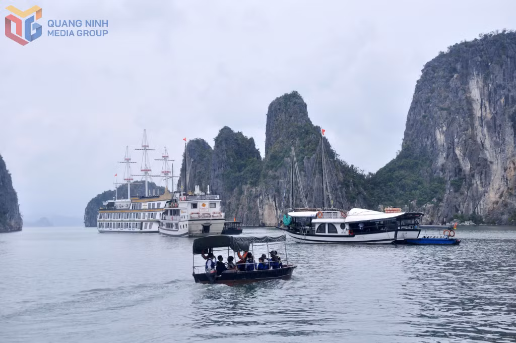 Du thuyền của Công ty CP Du thuyền Đông Dương đưa khách tham quan hang Cỏ trên hành trình VHL4 của Vịnh Hạ Long.