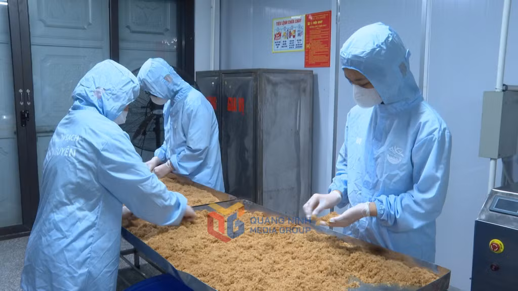 Chế biến ruốc cá thu ở cơ sở ruốc sạch Thảo Nguyên (phường cẩm Phả).