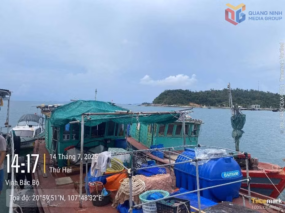 Tàu cá vi phạm trong vụ việc 13 tàu cá cố tình tháo thiết bị giám sát hành trình để khai thác thuỷ sản trái phép hiện đang bị Cơ quan Cảnh sát điều tra khởi tố vụ án hình sự và khởi tố bị can.