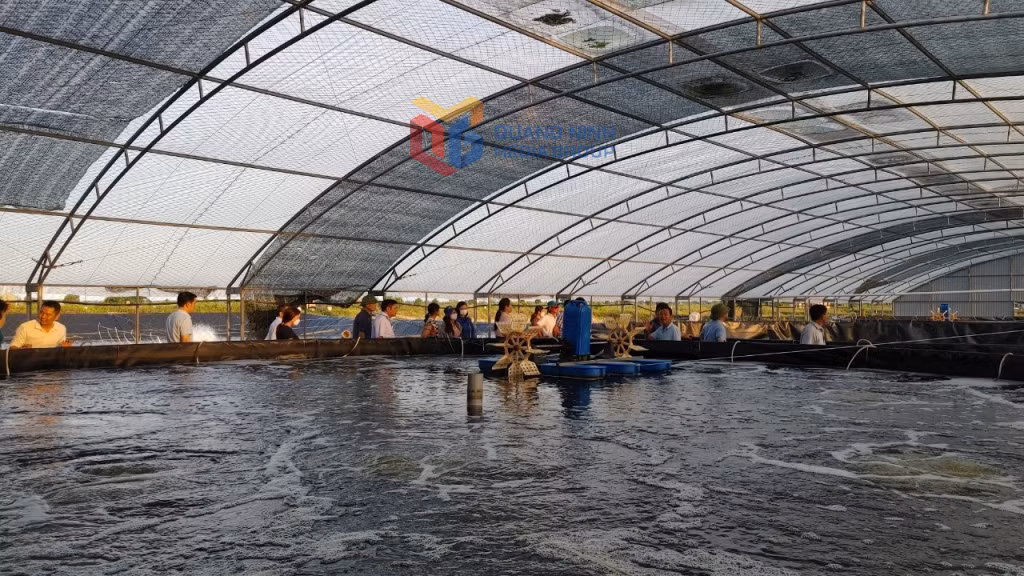 Sản xuất giống thuỷ sản tại Công ty CP Thuỷ sản Phương Anh, phường Móng Cái 1