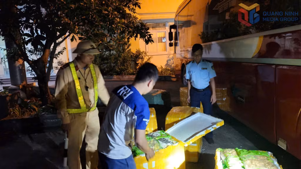 Thực phẩm là đồ ăn nhanh được đóng thành nhiều túi nhỏ, nhãn hiệu chữ nước ngoài.