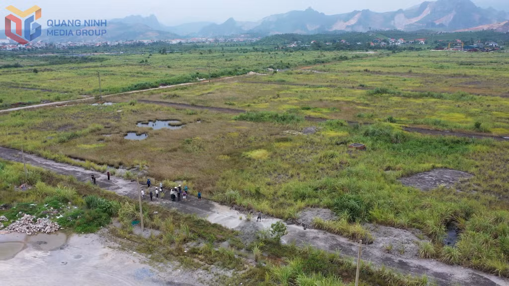 Toàn cảnh dự án khu đô thị Bắc Cầu Bang (xã Thống Nhất, Quảng Ninh) sau nhiều năm chậm tiến độ, hạ tầng bỏ dở, cỏ mọc hoang hóa.