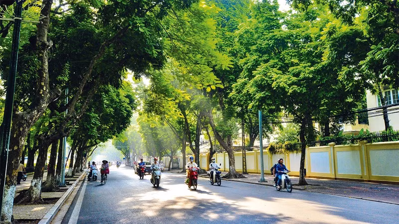 (Ảnh minh họa: TUỆ NGHI)