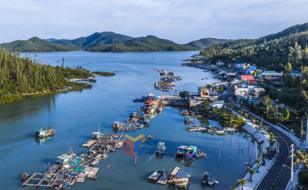 Không khí tấp nập “trên bến dưới thuyền” tại cảng Ngọc Vừng – nơi giao thương nhộn nhịp của ngư dân.