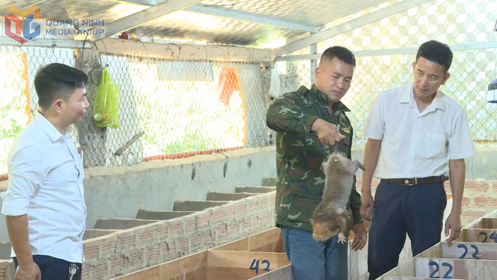 Nhiều mô hình kinh tế cho giá trị kinh tế cao được người dân đưa vào phát triển tại địa phương.