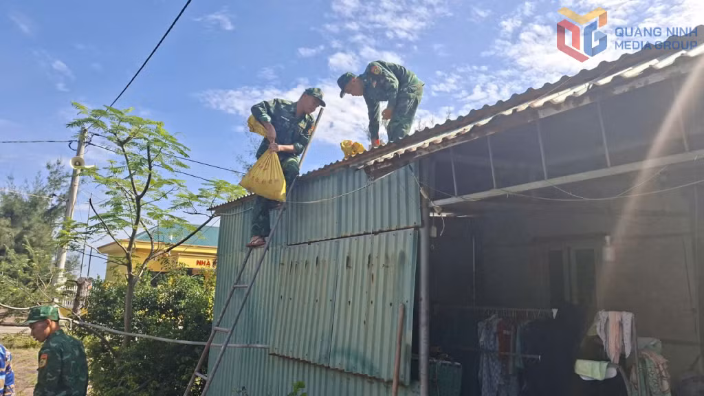 Đồn Biên phòng Đảo Trần hỗ trợ người dân chằng giữ nhà cửa.