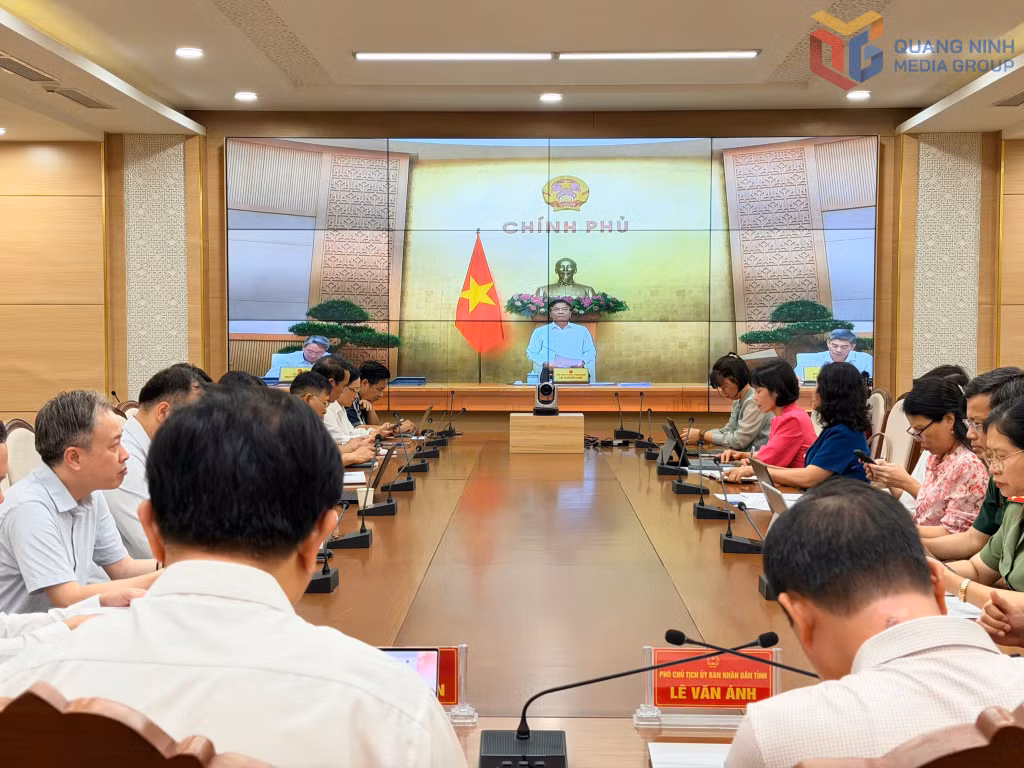 Phó Thủ tướng Chính phủ Lê Thành Long phát biểu chỉ đạo tại phiên họp.