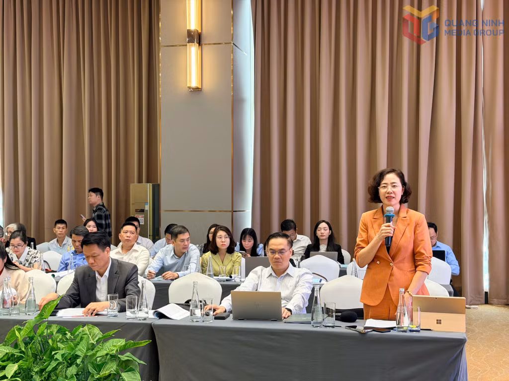Đồng chí Vũ Thị Mai Anh, Giám đốc Sở Nội vụ Quảng Ninh phát biểu tham góp ý kiến tại hội thảo.