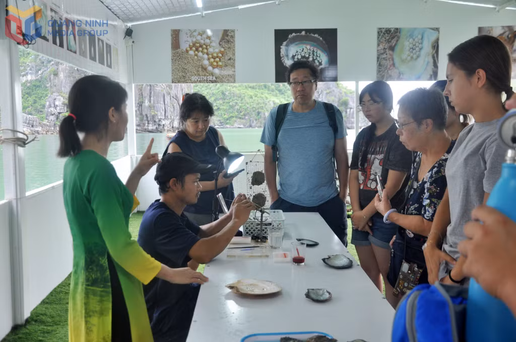Du khách nghe giới thiệu về quy trình nuôi cấy ngọc trai trên Vịnh Hạ Long.