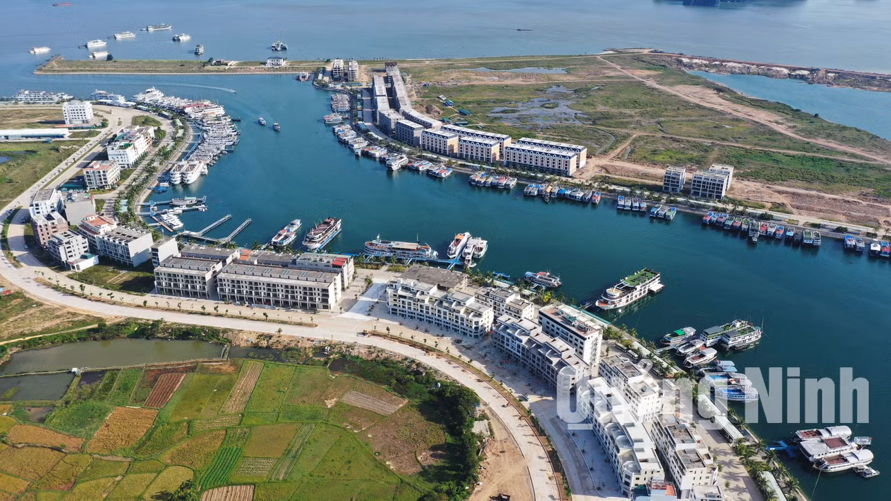 Bến tầu du lịch (8-2020). Ảnh: Đỗ Phương