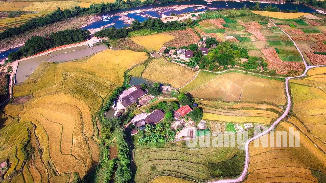 Bản văn hóa người Tày Đồng Thanh, Bình Liêu (11-2018). Ảnh: Hùng Sơn.