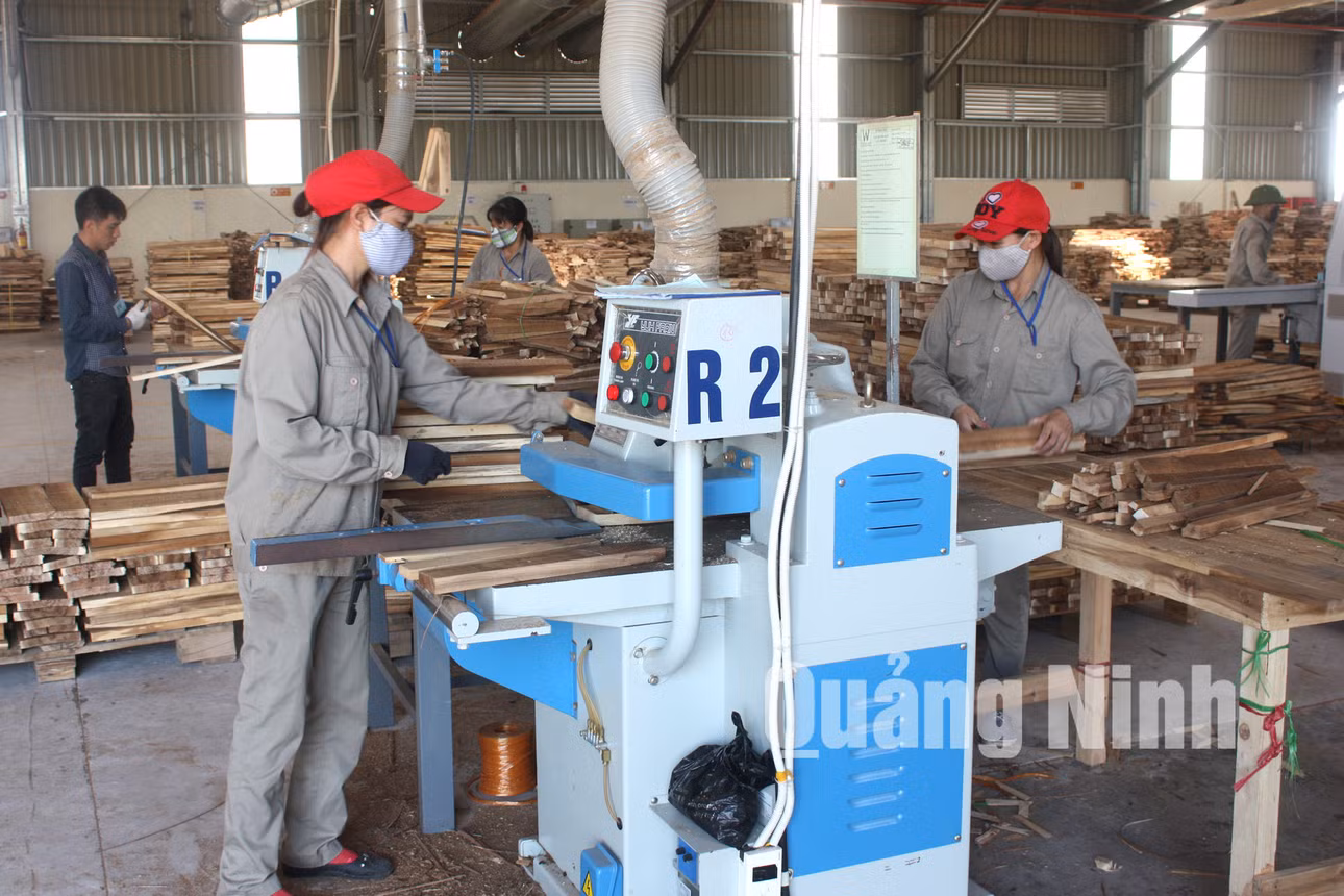 Chế biến gỗ tại Nhà máy. Ảnh: Hữu Việt