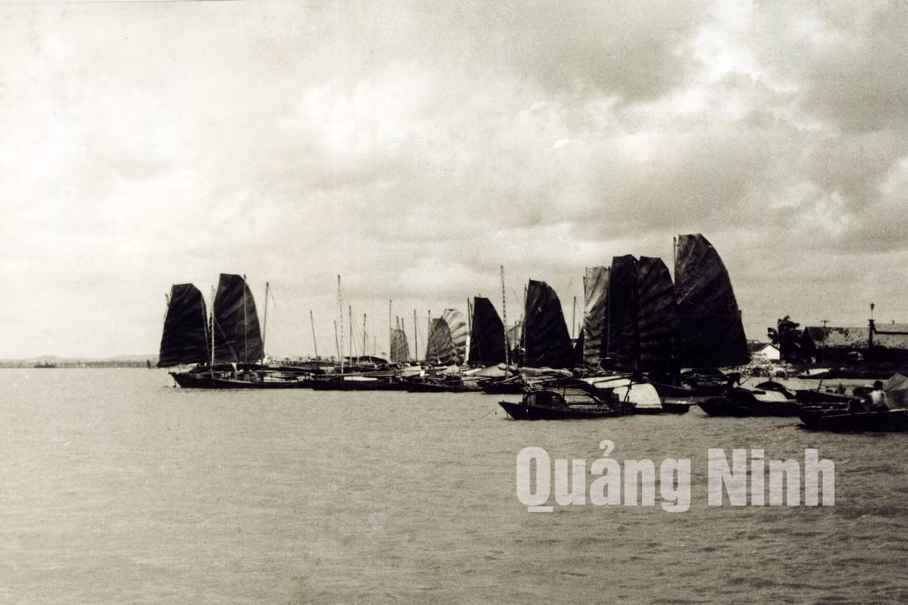 Sông Bạch Đằng thủa trước. Ảnh Phòng Văn hóa TX Quảng Yên