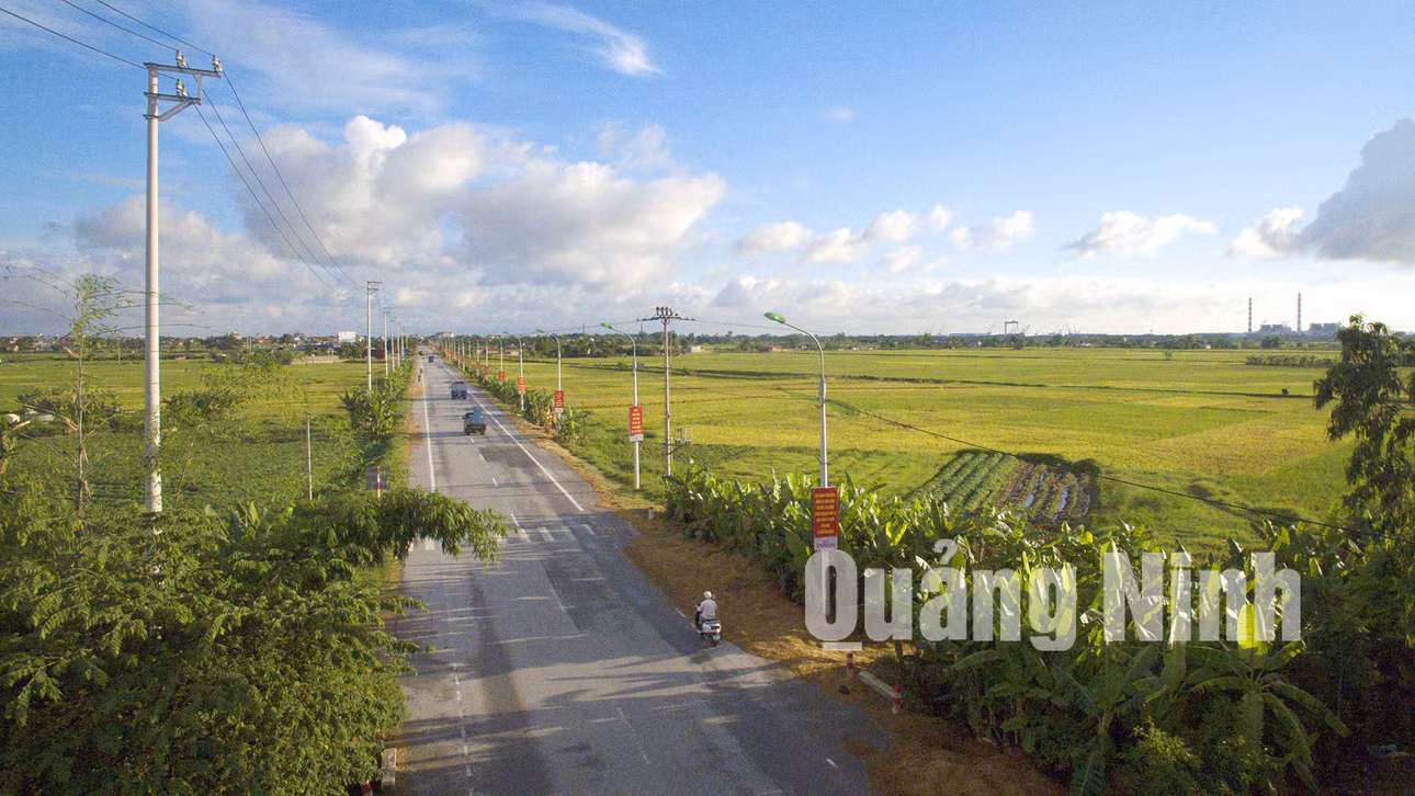 Đường Bạch Đằng, xã Sông Khoai, TX Quảng Yên (4-2020). Ảnh: Khánh Giang.