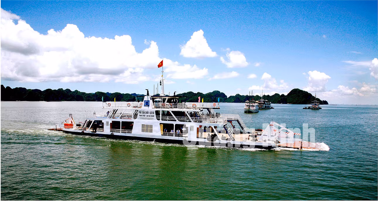 Chuyến phà du lịch Tuần Châu - Cát Bà. Ảnh: Dương Phượng Đại (CTV)