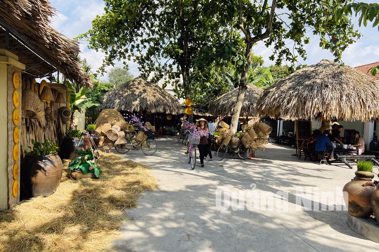 Khu vực chợ mậu dịch (6-2020). Ảnh: Hoàng Nga
