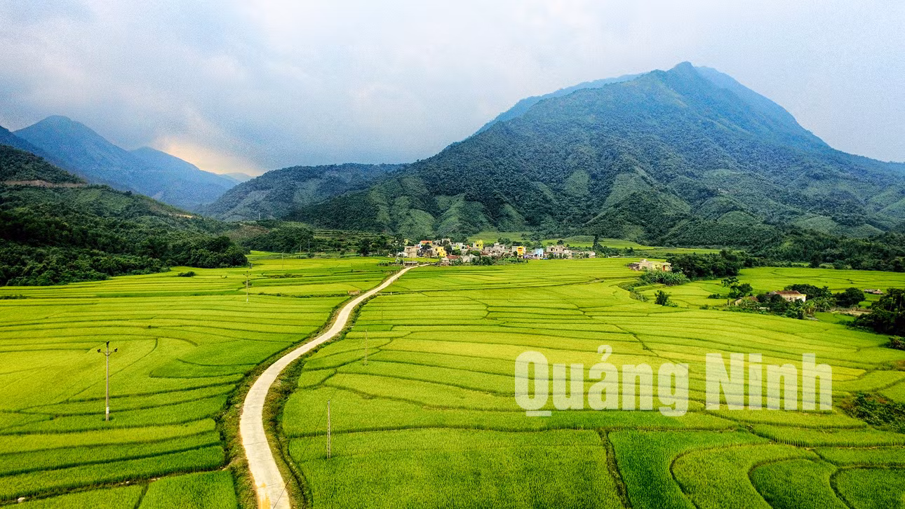 Phong cảnh huyện Đầm Hà (10-2018). Ảnh: Hùng Sơn