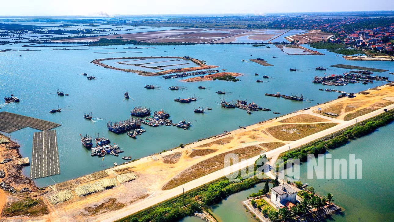 Cảng cá Bến Giang (12-2019). Ảnh: Hùng Sơn