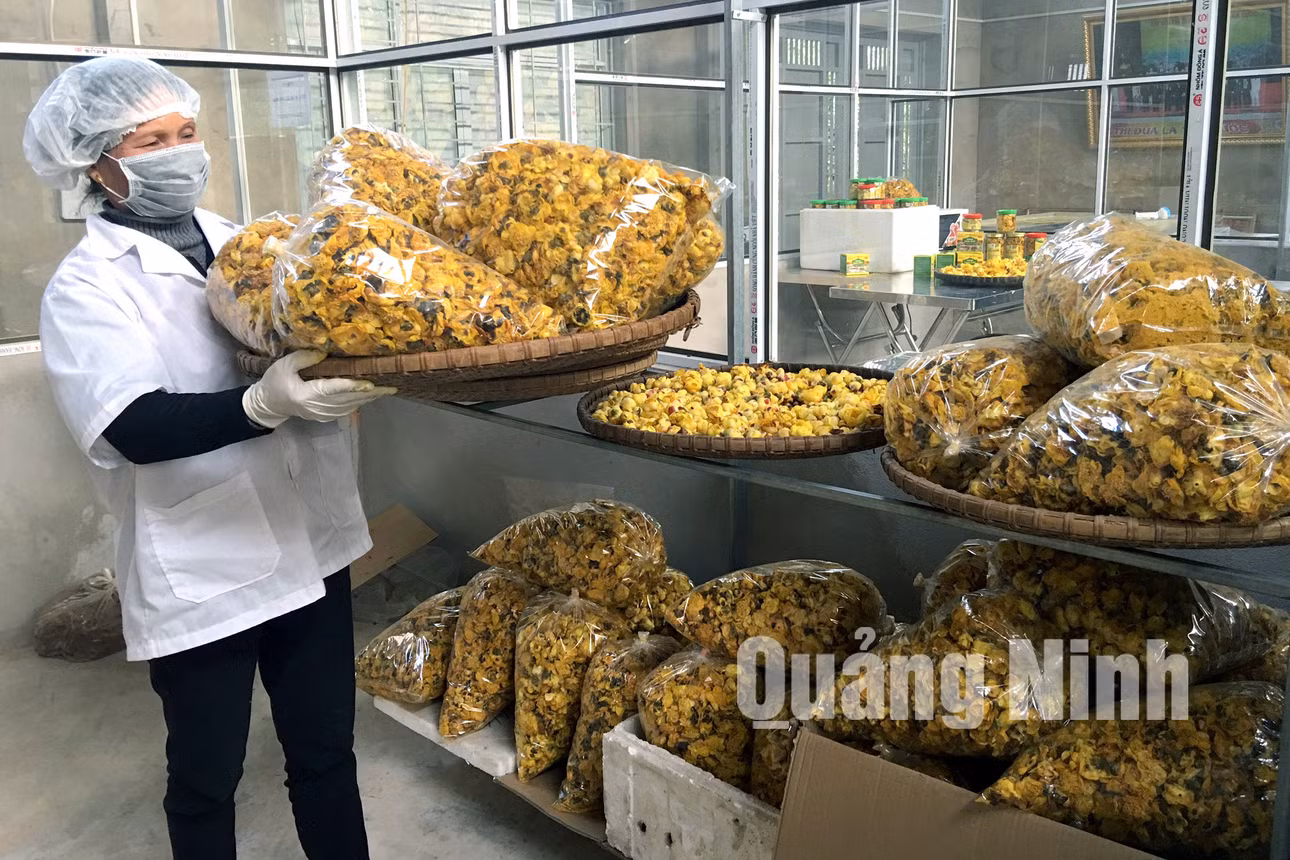 Trà hoa vàng sau khi được sấy khô và bảo quản (2-2018). Ảnh: Khánh Giang