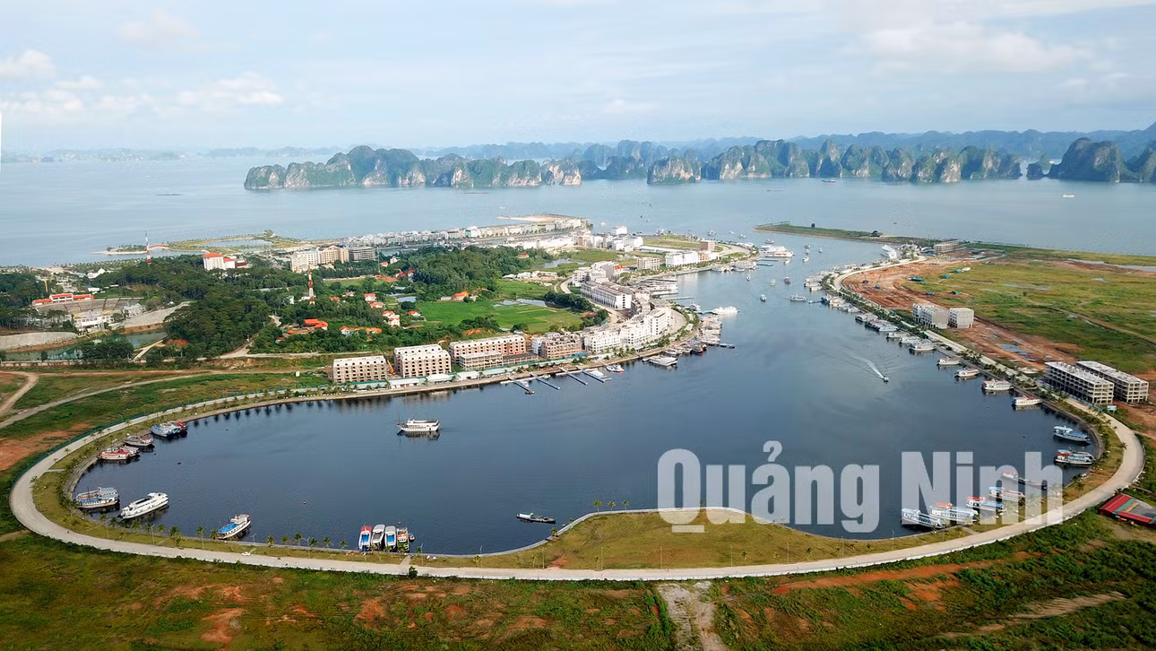 Đảo Tuần Châu (8-2019). Ảnh: Lê Nam
