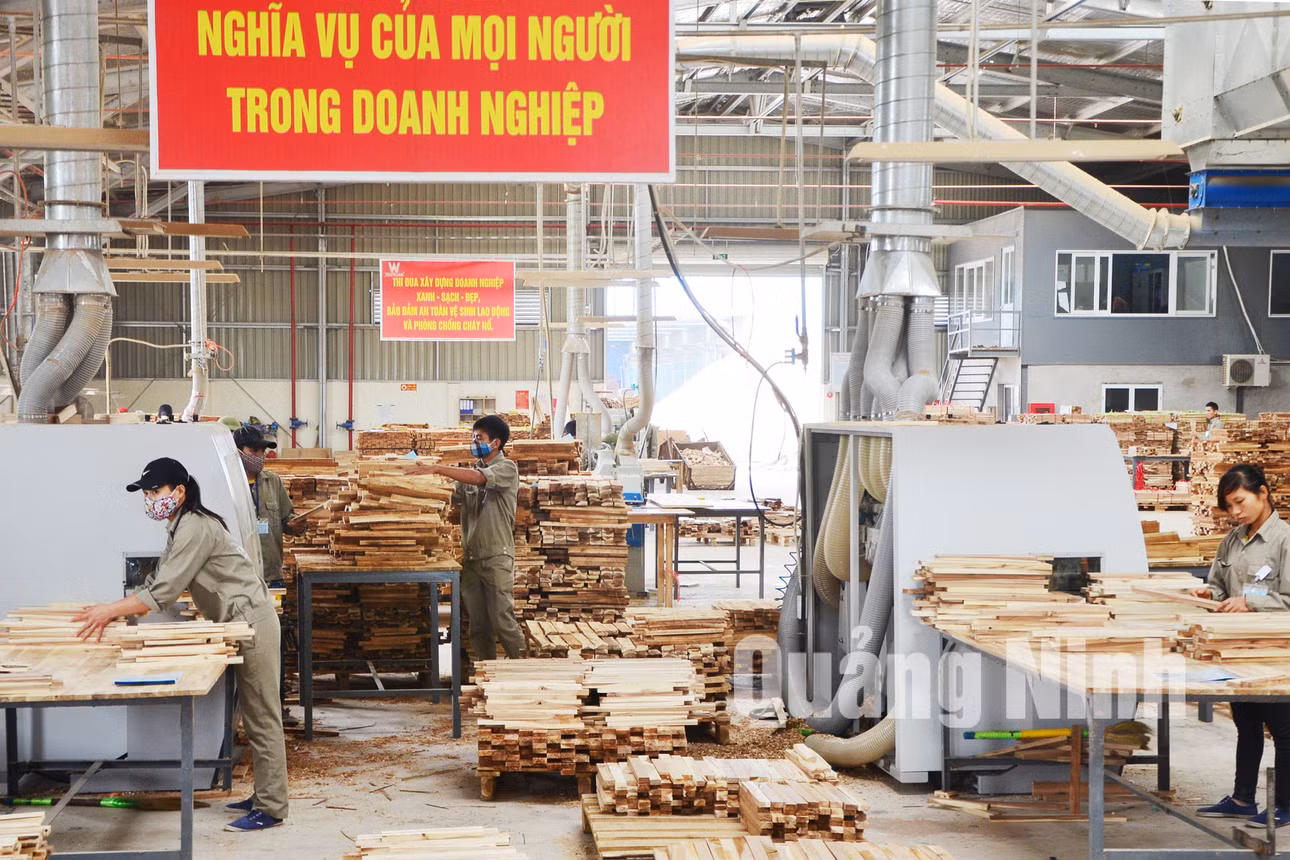 Sản xuất gỗ gép thanh. Ảnh: Hồng Nhung