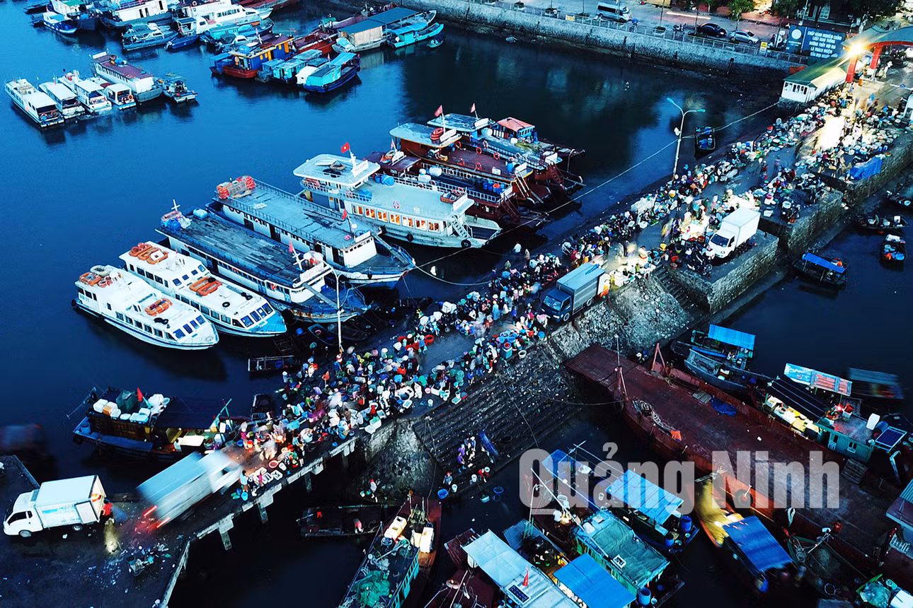 Chợ cá sớm Vân Đồn (7-2019). Ảnh: Đỗ Phương