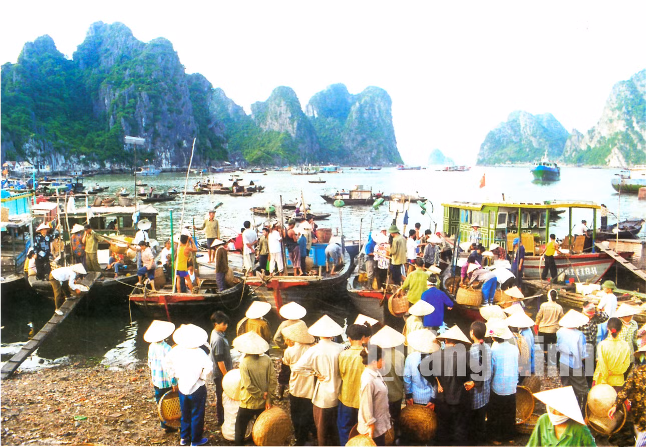 Bến cá Hạ Long. Ảnh: Đỗ Khánh