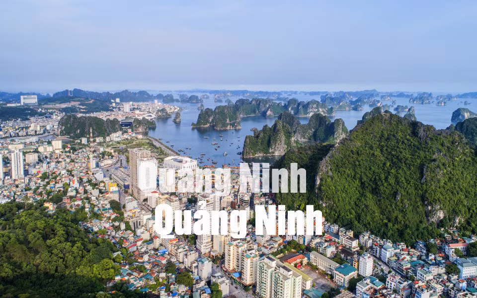 TP Hạ Long bên Vịnh Hạ Long (9-2019). Ảnh: Khánh Giang