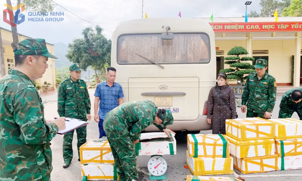 Hai đối tượng và tang vật bị lực lượng Bộ đội Biên phòng bắt giữ.