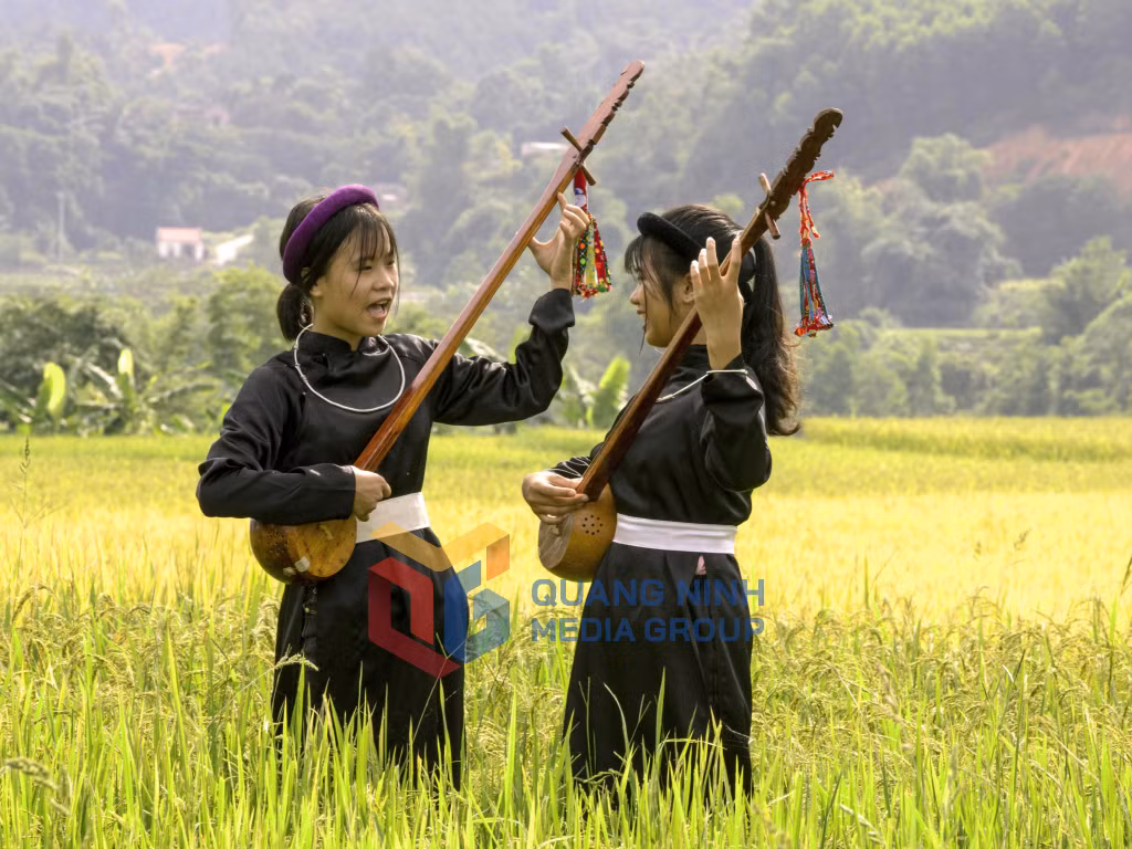 Sơn ca trên đồng lúa vàng. Ảnh: Dương Phượng Đại