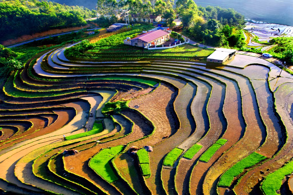 Bức tranh quê. Ảnh: Vũ Thành (CTV)