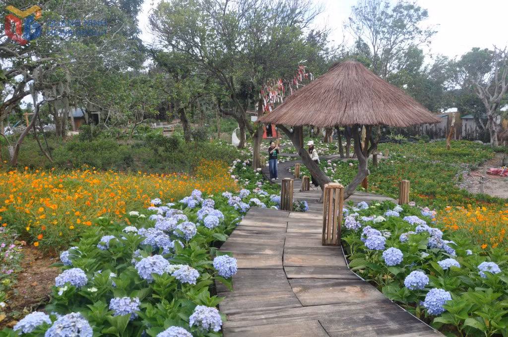 Khu vườn được trồng hoa trên diện tích lớn phục vụ du khách chụp ảnh check-in tại Co To Village.