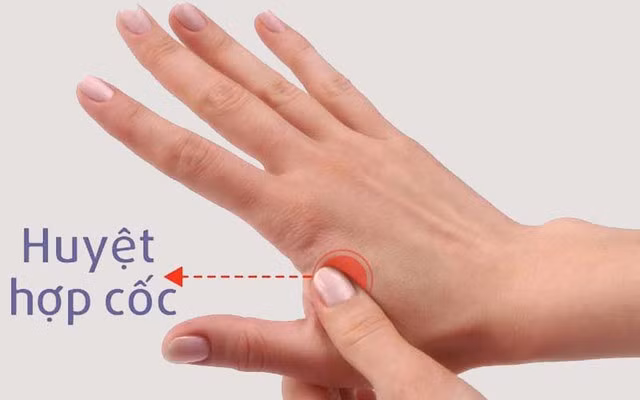 Day ấn huyệt hợp cốc giúp khí huyết lưu thông, hỗ trợ giảm đau đầu do căng thẳng.