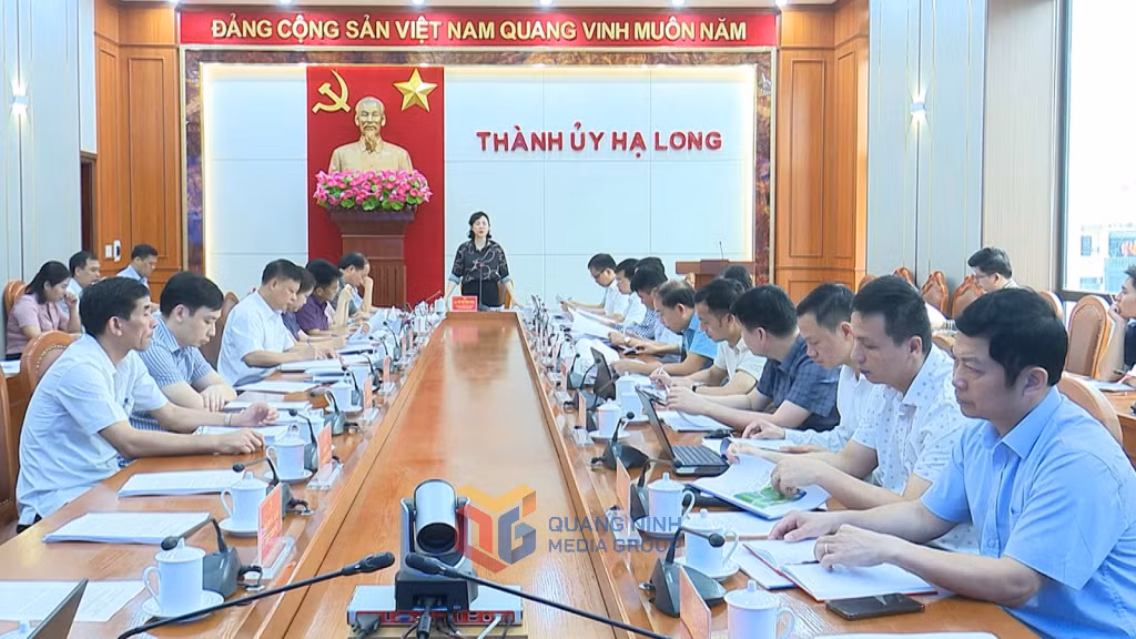 Ban Thường vụ Thành uỷ Hạ Long tổ chức rà soát công tác chuẩn bị đại hội đảng bộ các xã, phường.