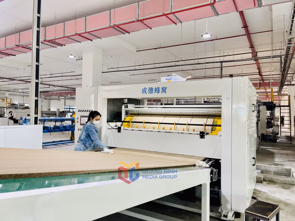 Sản xuất bao bì tại Công ty TNHH Công nghiệp Renli Việt Nam (KCN Sông Khoai, TX Quảng Yên).