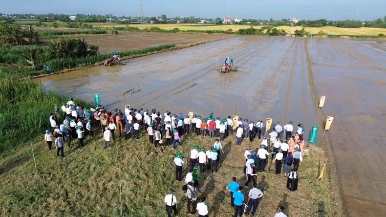 Tỉnh Tiền Giang triển khai đề án 1 triệu ha lúa.
