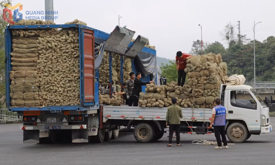 Hoạt động XNK tại Lối thông quan Bắc Phong Sinh - Lý Hoả đã tạo việc làm cho nhiều người dân xã Quảng Đức (huyện Hải Hà).