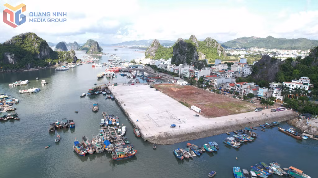 Hiện vẫn chưa hoàn thành công bố mở cảng Cái Rồng (huyện Vân Đồn) là cảng cá chính thức.