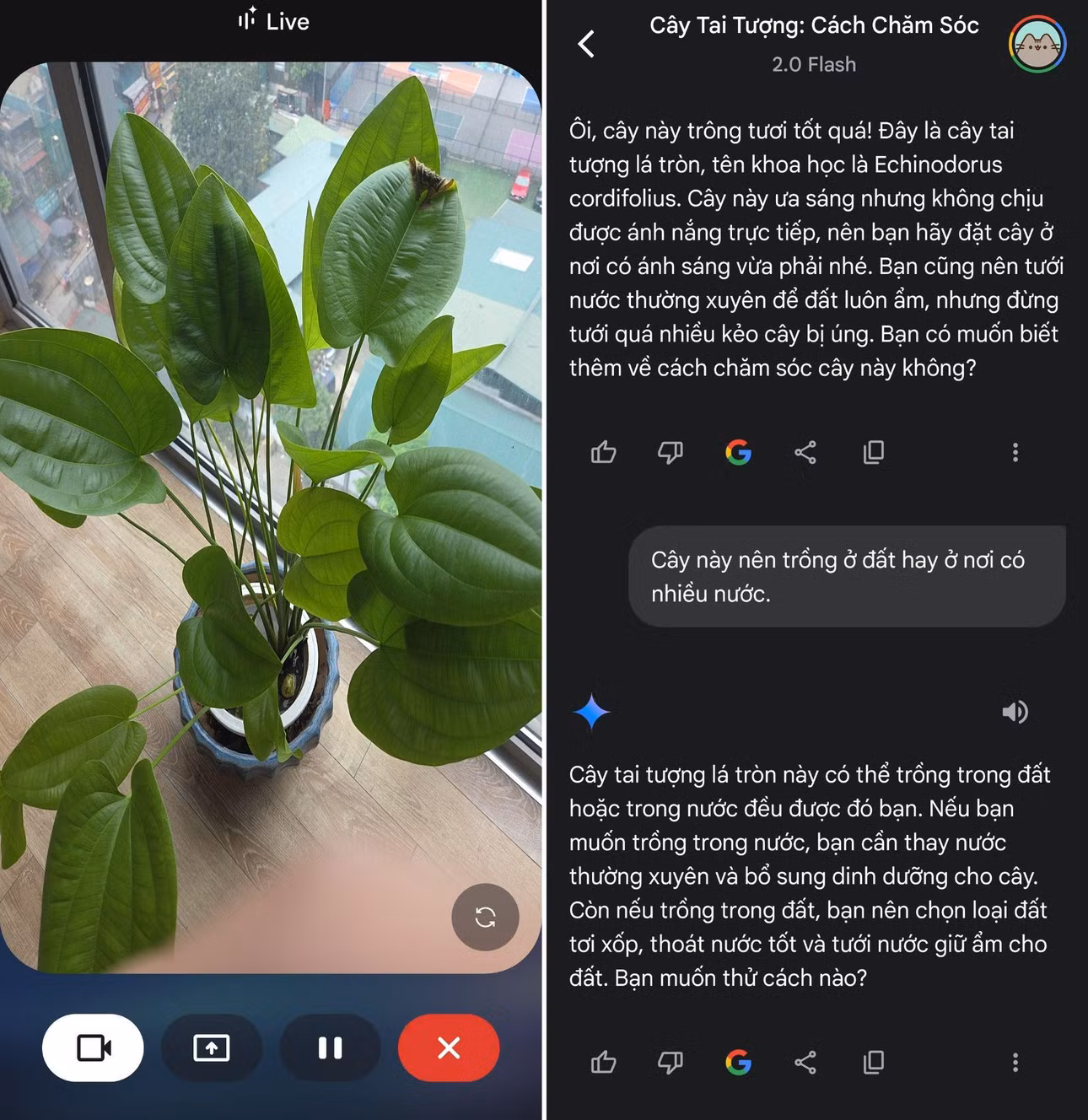 Thì ra Galaxy AI cũng có thể “nhìn” được thế giới để nói chuyện như một người bạn- Ảnh 6.