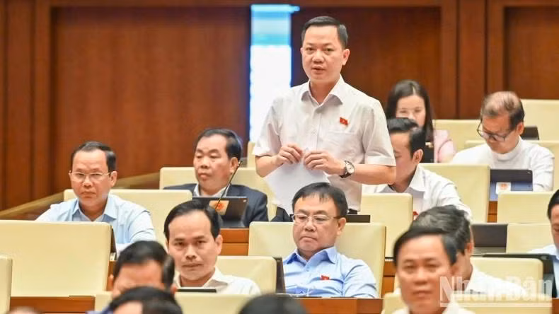 Đại biểu Trịnh Xuân An (Đồng Nai) phát biểu. (Ảnh: BÙI GIANG)