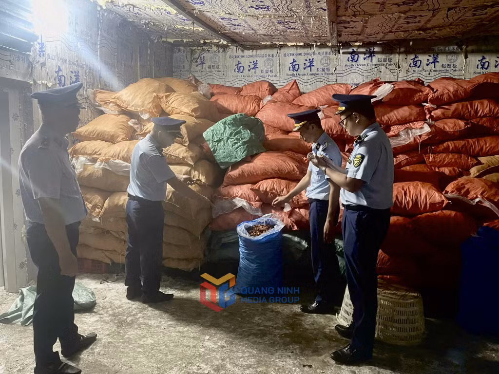 Số chân gà thu giữ được trong kho.