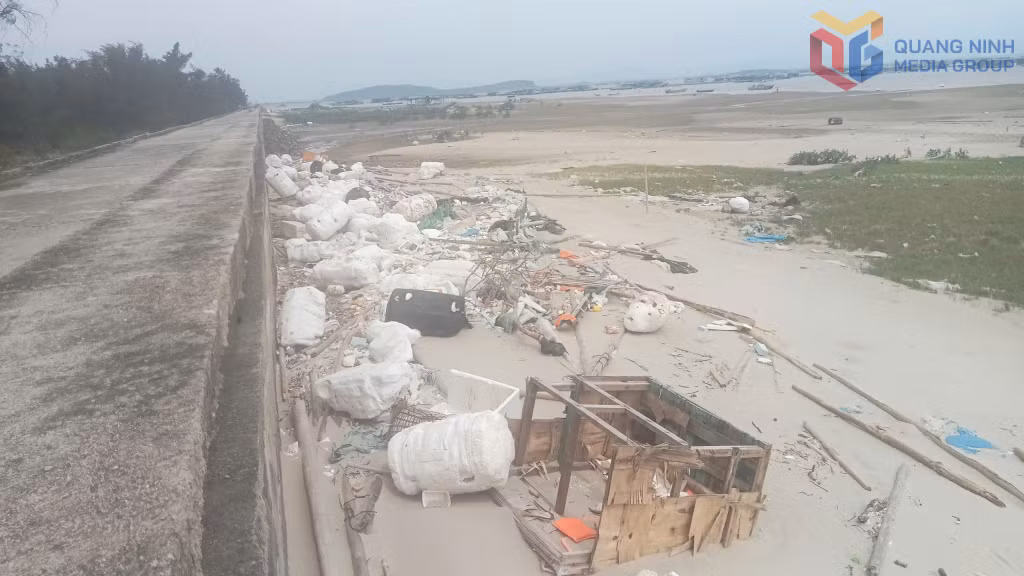 Rác thải tại khu vực bờ biển khu Tràng Vĩ, Trà Cổ 