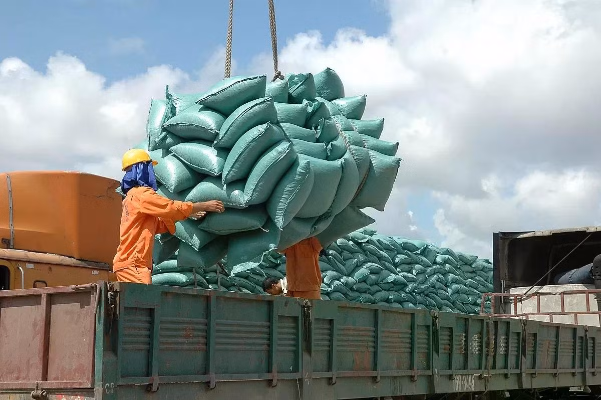 Xuất khẩu gạo tăng cao giúp cải thiện đời sống của bà con nông dân - Ảnh: Cấn Dũng