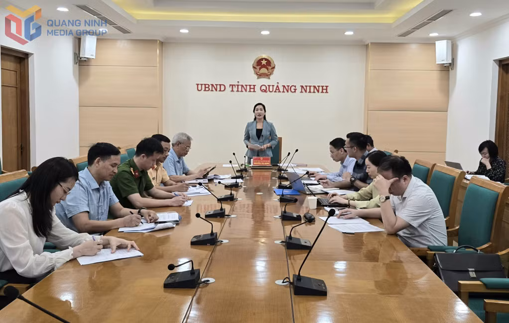 Đồng chí Nguyễn Thị Hạnh, Phó Chủ tịch UBND tỉnh, phát biểu chỉ đạo cuộc họp.