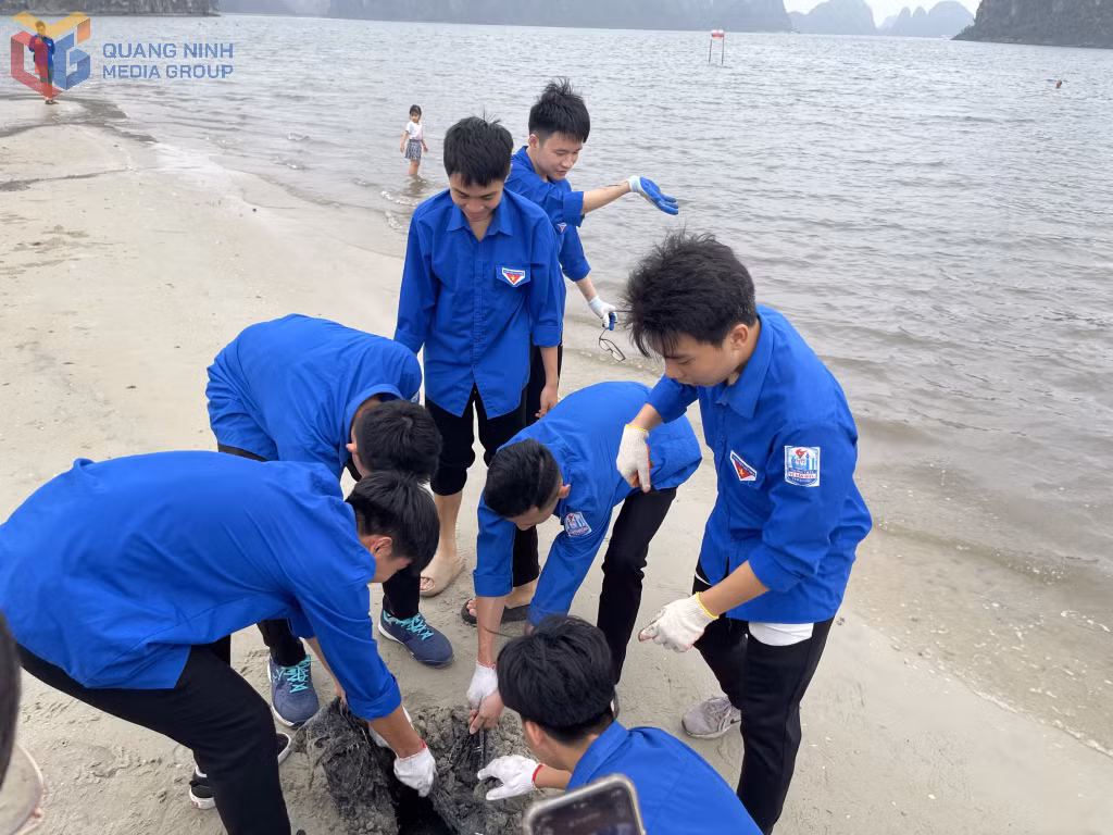 Đoàn viên, thanh niên trên địa bàn TP Hạ Long thu gom rác thải tại khu vực Bãi tắm Hòn Gai. Ảnh: Vi Cầm