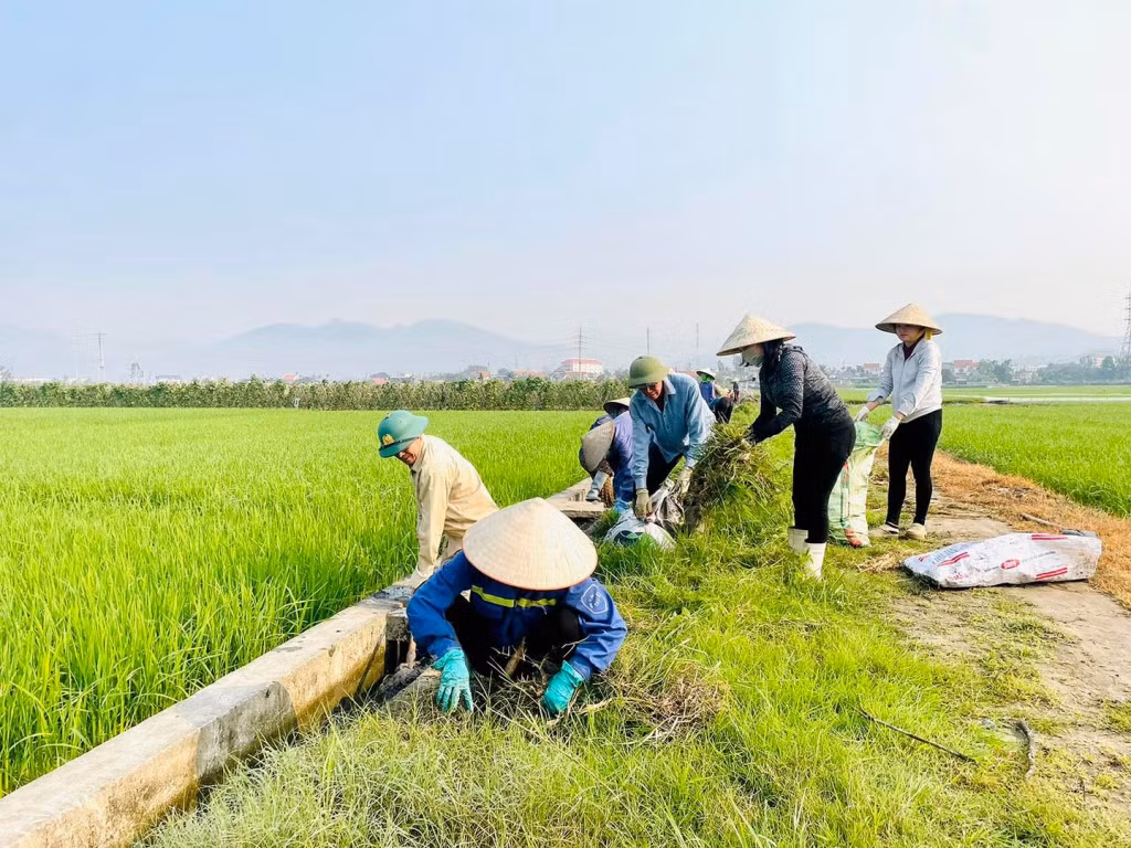 HND phường Phương Đông (TP Uông Bí) ra quân dọn vệ sinh đồng ruộng. Ảnh: HND TP Uông Bí.