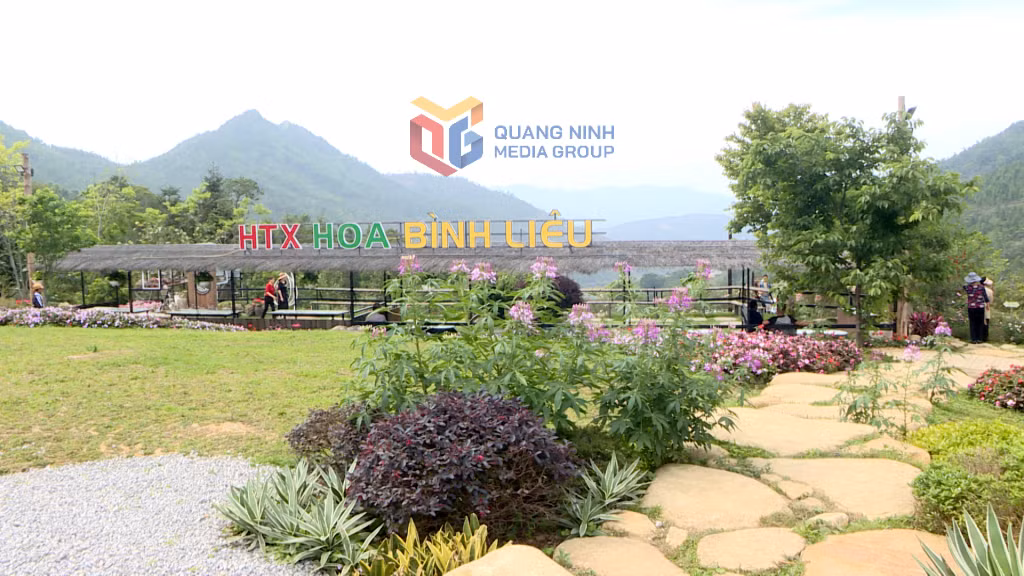 Du khách đến HTX Hoa Bình Liêu mùa hè này được trải nghiệm nhiều sản phẩm du lịch mới hấp dẫn.