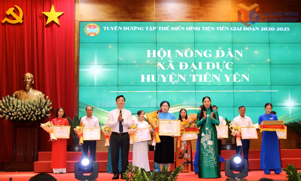 Lãnh đạo Hội Nông dân tỉnh và Ban Tuyên giáo - Dân vận Tỉnh ủy, trao Bằng khen của Hội Nông dân tỉnh cho tập thể điển hình tiên tiến trong phong trào thi đua. 