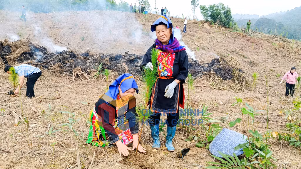 Nhân dân xã Kỳ Thượng tham gia trồng rừng, phát triển sản xuất lâm nghiệp. Ảnh: Bình Minh (Xã Kỳ Thượng)